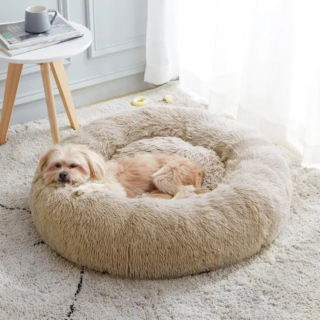 The Ultimate Fuzzy Cat Bed
