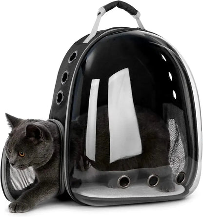 The Cat Capsule - Transparent Backpack