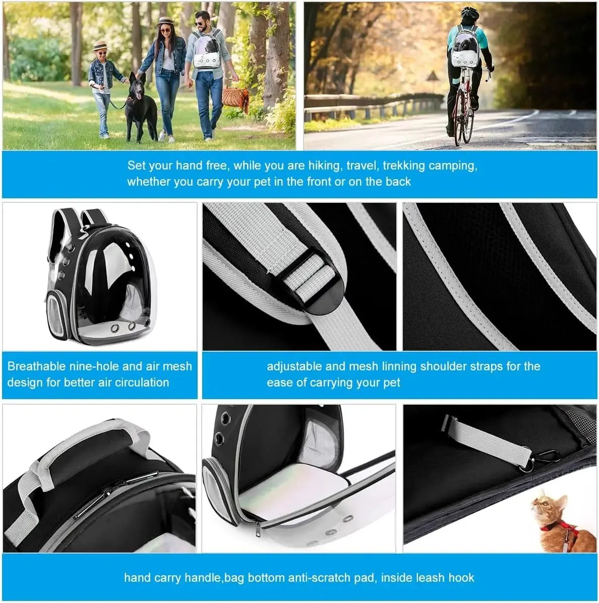 The Cat Capsule - Transparent Backpack