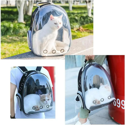 The Cat Capsule - Transparent Backpack