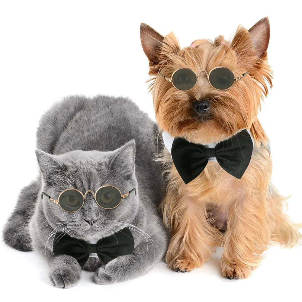 Pet Accessories - Funny Cat Sunglasses