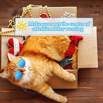 Pet Accessories - Funny Cat Sunglasses