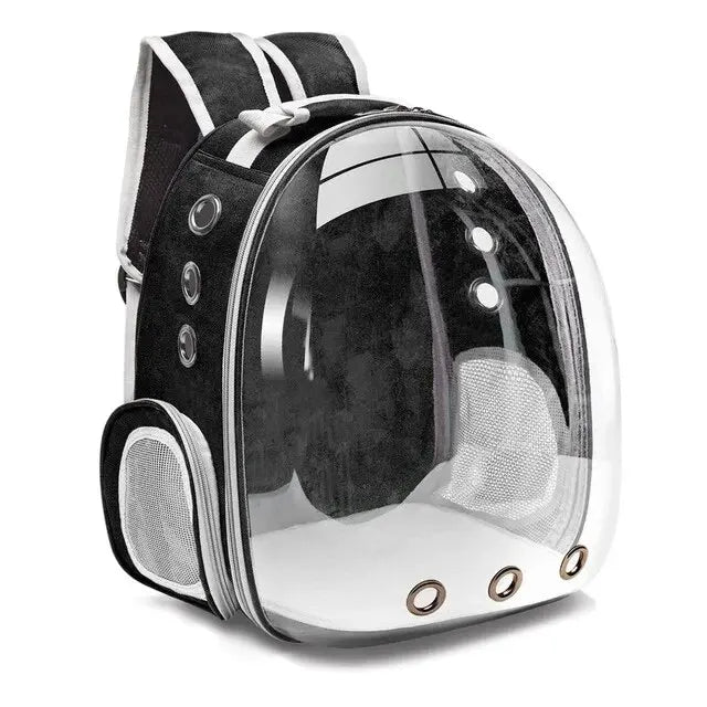 The Cat Capsule - Transparent Backpack