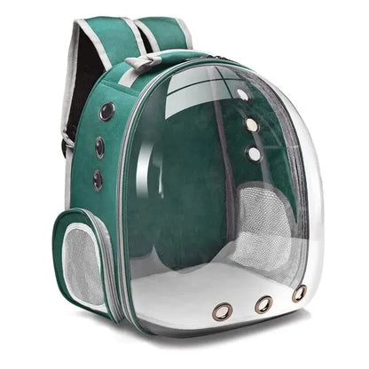 The Cat Capsule - Transparent Backpack