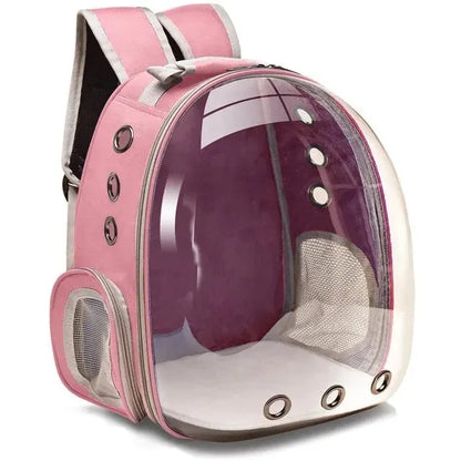 The Cat Capsule - Transparent Backpack