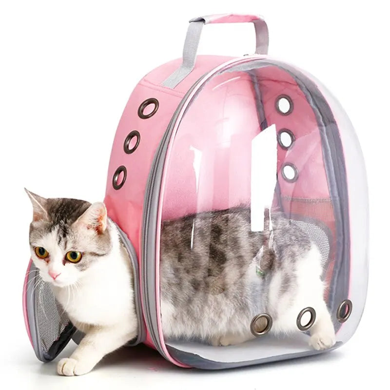 The Cat Capsule - Transparent Backpack