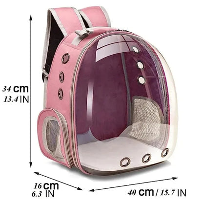 The Cat Capsule - Transparent Backpack