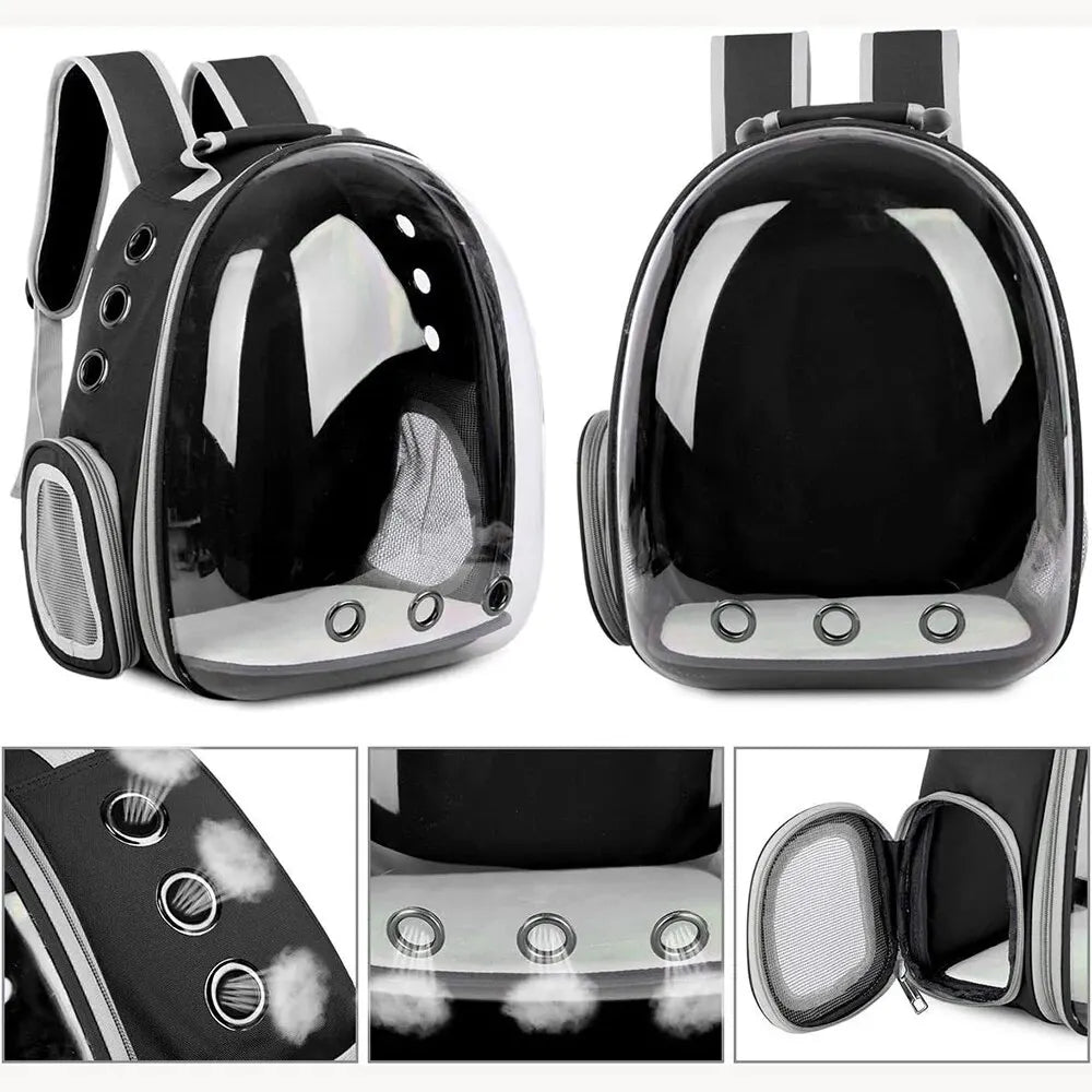 The Cat Capsule - Transparent Backpack