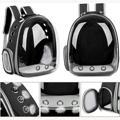 The Cat Capsule - Transparent Backpack