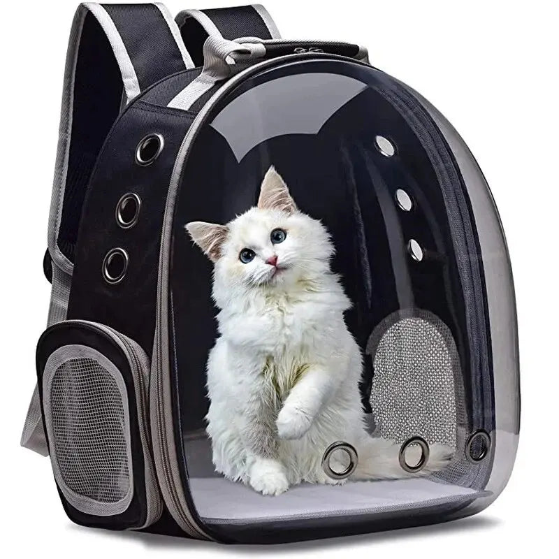 The Cat Capsule - Transparent Backpack