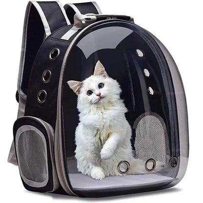 The Cat Capsule - Transparent Backpack