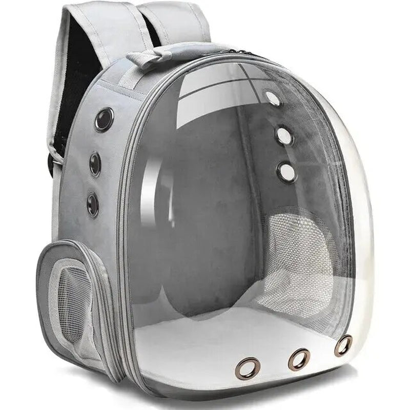 The Cat Capsule - Transparent Backpack