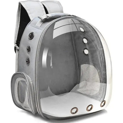 The Cat Capsule - Transparent Backpack
